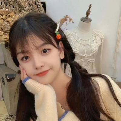 渚北谜案