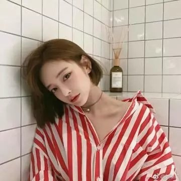 忘尘月